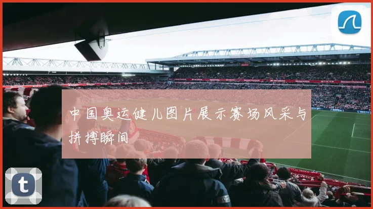 中国奥运健儿图片展示赛场风采与拼搏瞬间